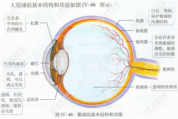干眼癥做近視眼手術能做哪種?是激光,飛秒還是晶體好呢?
