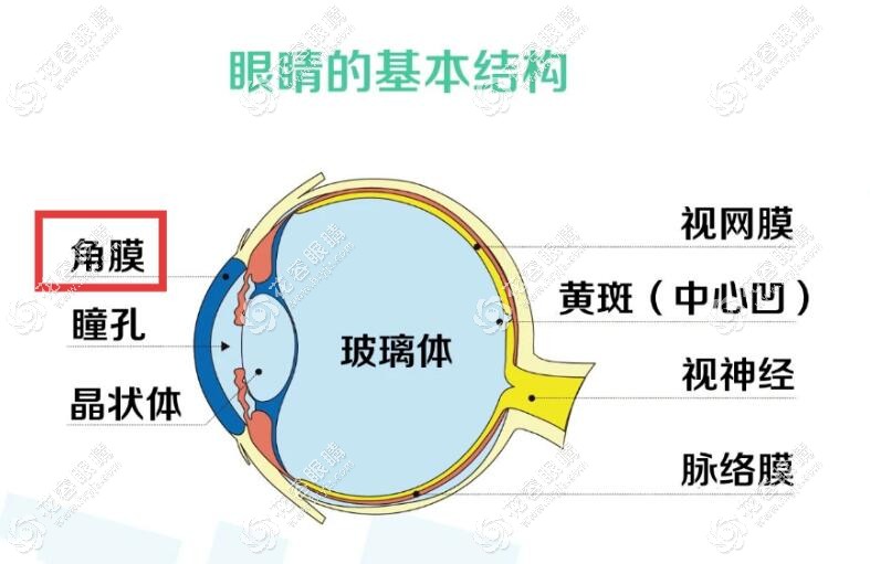 公布人工眼角膜移植手術費用:網傳眼角膜價值15萬/88萬/100萬