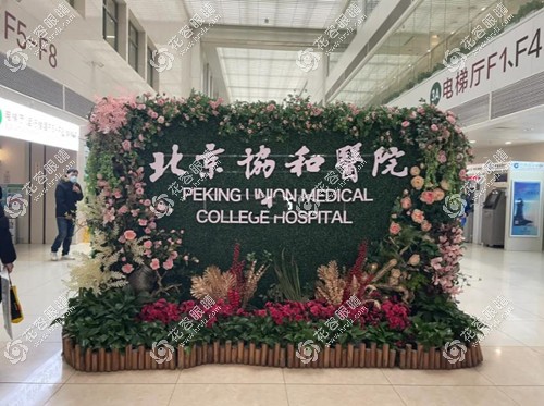 北京協(xié)和醫(yī)院眼科醫(yī)生名單及門(mén)診時(shí)間表,可提前預(yù)約掛號(hào)
