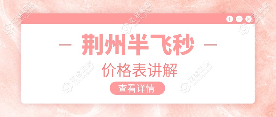 荊州半飛秒價格表講解
