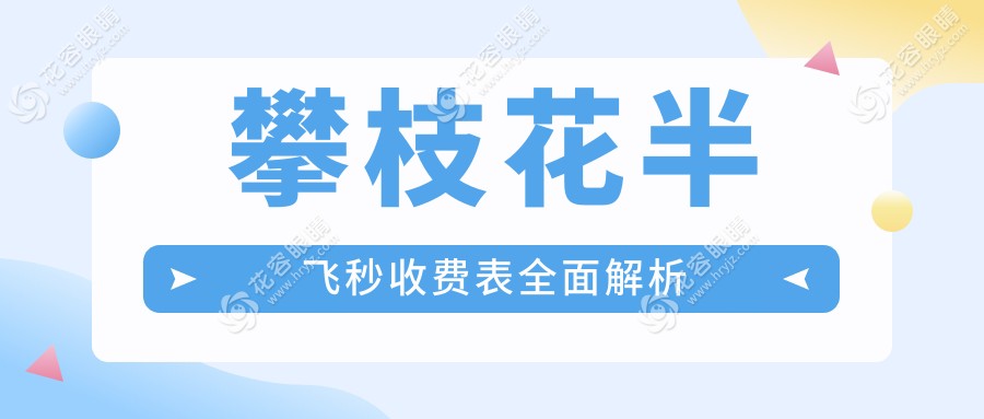 攀枝花半飛秒收費(fèi)表全面解析