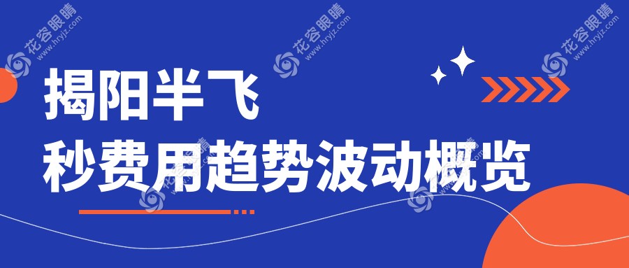 揭阳半飞秒费用趋势波动概览