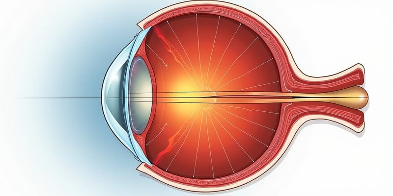 五、蚌埠二院眼科预约挂号怎么挂？常见问题解答