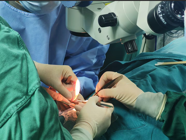 国内做后巩膜加固术好的医生排名2025名单：封康、段安丽、王乐今等TOP5，技术口碑全公开