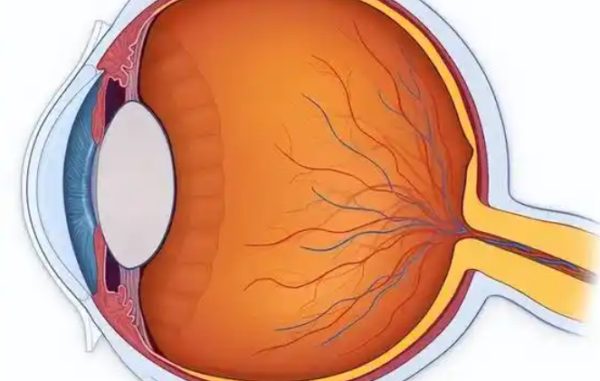 苏州白内障免费政策最新消息！2025年适用人群、申请流程大揭秘