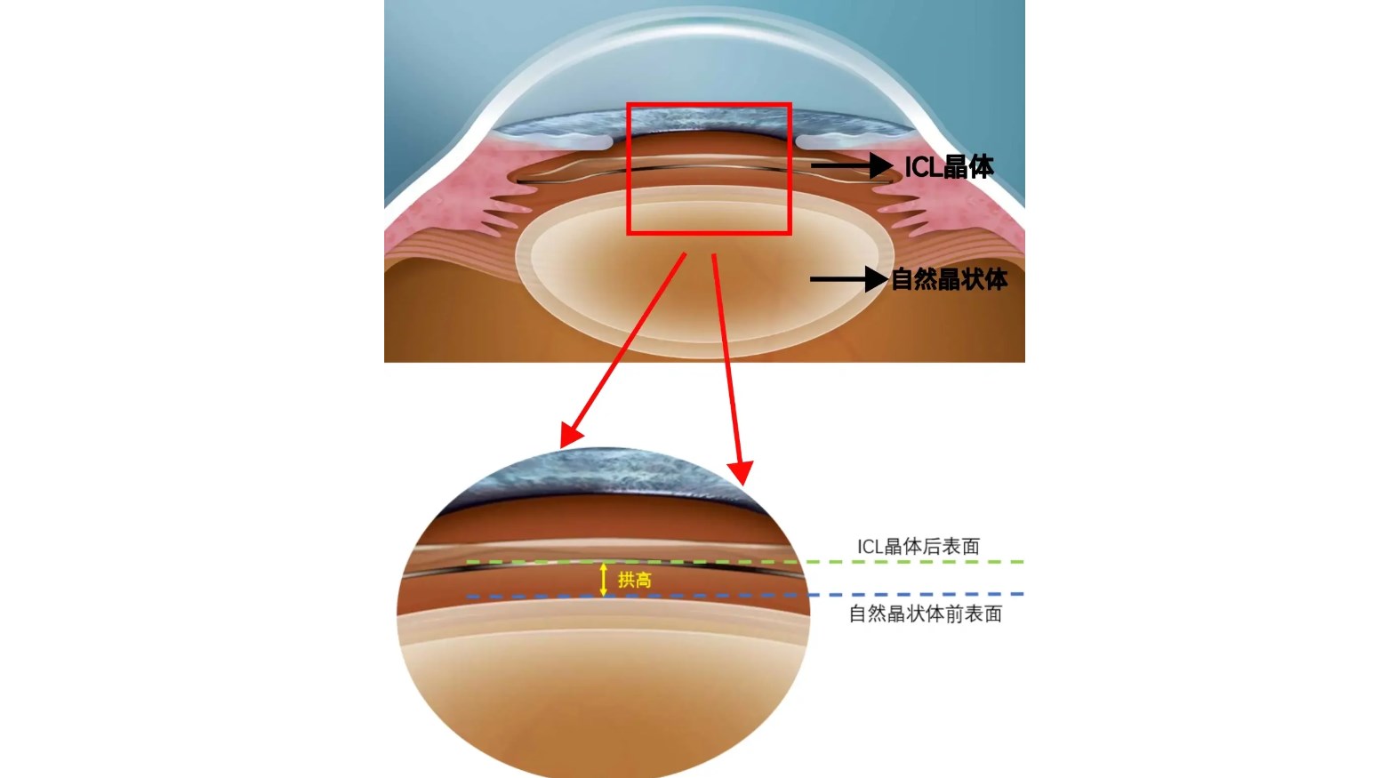 瑞格眼科醫(yī)院