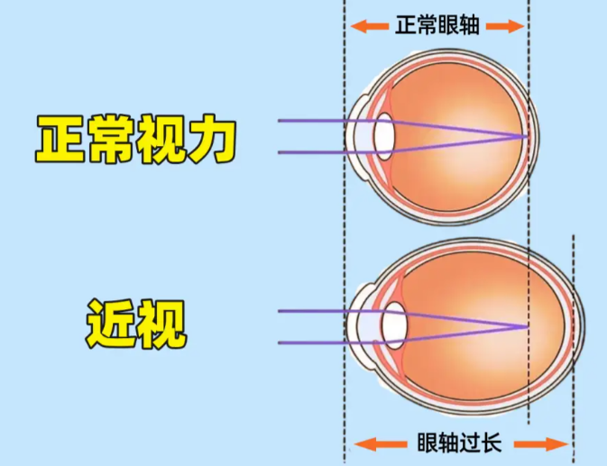 为什么全科预检是升学刚需？