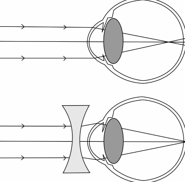 真实范例见证预检成效