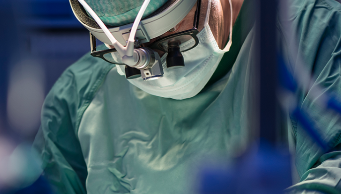 The Muly Philosophy: Boutique Luxury in Sinsa-dong