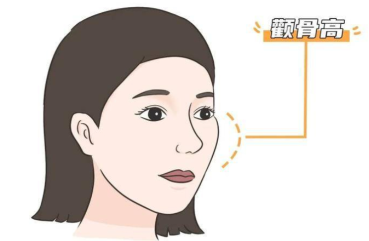 三、何照华张力带技术的价格与性价比分析