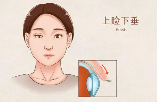 三、北京艺星热门项目与价格参考，真的透明吗？
